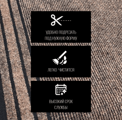 Tarkett Рекорд № 811_6350960