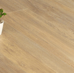 Stone Floor Дуб Яркий день_5757152
