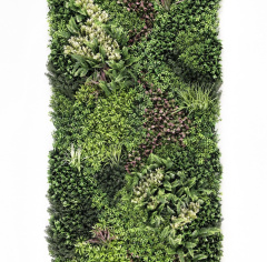 Premium Grass RainRoot 100 х 100_6251853