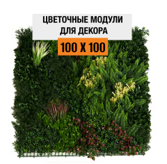 Premium Grass Tropisphere 100 х 100_6251854