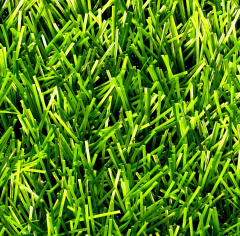 Premium Grass Football 40 Green 8800_6345521