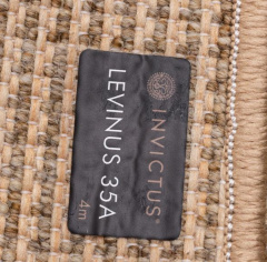 AW Levinus 35A_6345928