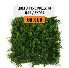 Premium Grass Fern Bracken 50 х 50_6251848