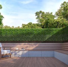 Premium Grass Gardenia 50 х 50_6251845