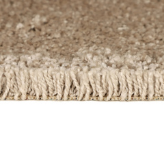 Brest Шегги 84_4832709