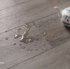 Betta Дуб Дрена_4831008