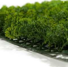 Premium Grass Heart Leaf 50 х 50_6251846