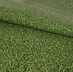 IVC Grass 025_6345345