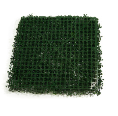 Premium Grass BoxTree 50 х 50_6251844