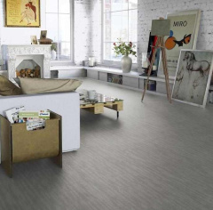 Tarkett Dingo_4814152