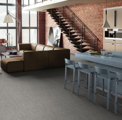 Tarkett Dingo_4814152