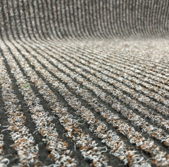 Orotex Gin 7034_6351040