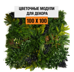 Premium Grass Zenvine 100 х 100_6251856