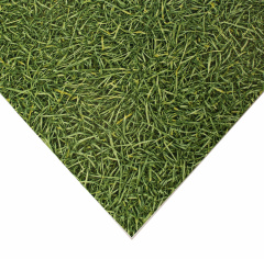 IVC Grass 025_6100800