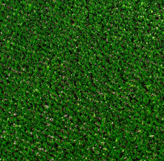Premium Grass Nature 7 Green_6178379