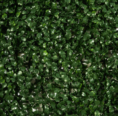 Premium Grass BoxTree 50 х 50_6251844
