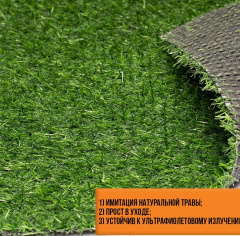 Premium Grass Comfort 20 Green light_6209574