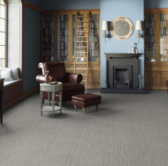 Tarkett Dingo_4814152