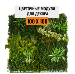 Premium Grass VerdiWall 100 х 100_6251850