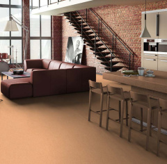Tarkett Beige 01_6173550