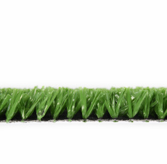 Premium Grass Sports 20_6352268