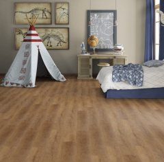 Art Vinyl Sam_6068764