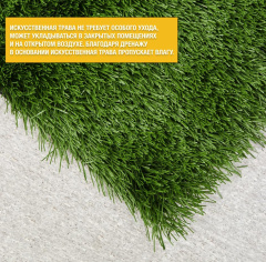 Premium Grass Football Pro 50_6177445