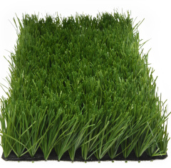 Premium Grass Football Competition 60_5709696