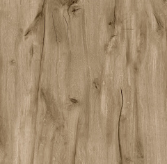 iDEAL Calypso 4_163M_6224388