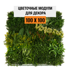 Premium Grass WildGrove 100 х 100_6251851