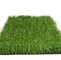 Premium Grass Football Performance 60_5709758