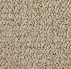 Enia Dragon 10231_4788022