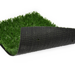 Premium Grass Sports 20_6346120