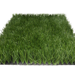 Premium Grass FIFA Champion 60_5709706