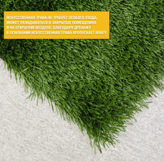 Premium Grass Sports Performance 40_6256191