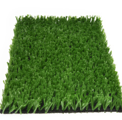 Premium Grass Sports 20_6346123