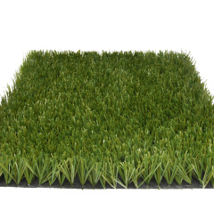 Premium Grass Football Pro 40_5774872