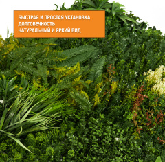Premium Grass WildGrove 100 х 100_6251851