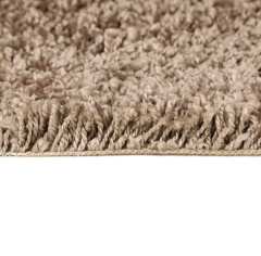 Brest Шегги 85_4832714