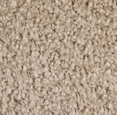 Brest Шегги 84_4832709