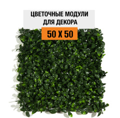 Premium Grass Gardenia 50 х 50_6251845