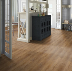 Art Vinyl Sam_6068764