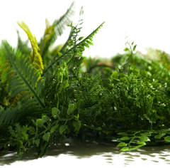 Premium Grass Zenvine 100 х 100_6251856