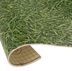 IVC Grass 025_6349076