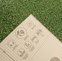 IVC Grass 025_6351467