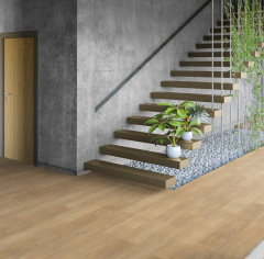 Tarkett Dion_5893138