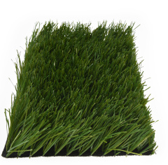 Premium Grass FIFA Plus 60_5709768