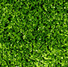 Premium Grass Eco 15 Green_5188947