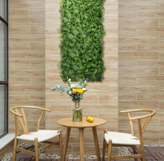 Premium Grass Fern Bracken 50 х 50_6251848