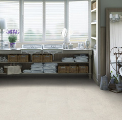 Art Vinyl Clyde_6068754